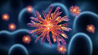 Unlocking Your Body's Defense: Understanding and Enhancing Immunity