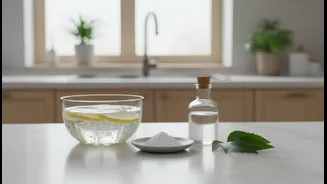 The Natural-Cleaning Monsoon Trend Could Shift how Renters and Home Cleaners Think About Vinegar, Neem and Baking Soda