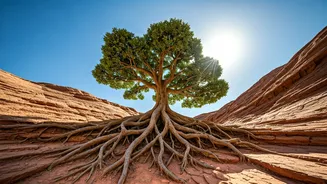 Boost Your Spirit: 5 Ways to Teach Resilience