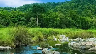 Monsoon Escapes Blend Scenic Beauty With A Relaxed Holiday Experience