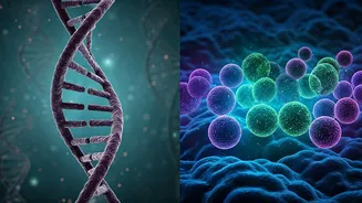 Unlocking Weight Loss Secrets: Your Genes and New Drugs