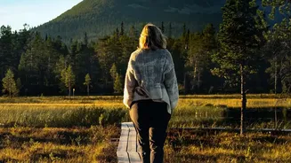 How Sweden Maintained Trails Offer Safe Access To Europe Last Intact Wilderness Areas