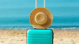 Planning A Holiday? Know When AI And Human Advice Work Best
