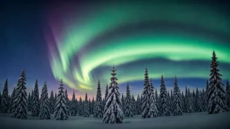 Decoding Northern Lights: A Kid-Friendly Guide