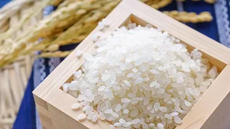 Rice Prices And Conflict Gets A Fresh Look With The Current Status Preserved