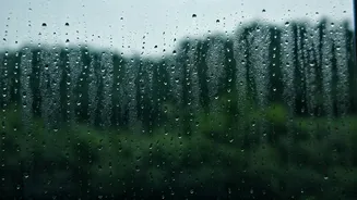 Protect Your Living Space From Rain