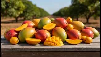 Mango Festivals are showcasing how fruit diversity supports farming resilience