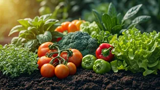 June Gardening Is Going Deliciously Practical Again