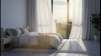 Daylight Is a Daily Signal, Not a One-Time Sleep Hack