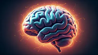 Unlock Your Brain's Potential: How Fasting Enhances Memory and Cognitive Function