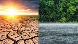 Delhi's Heat-To-Rain Shift Needs Smarter Habits