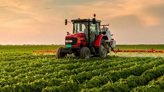 How Pulse Import Duties Could Affect Prices And Planting Decisions