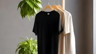 A Better Indoor Drying Plan Can Protect Comfort During Monsoon