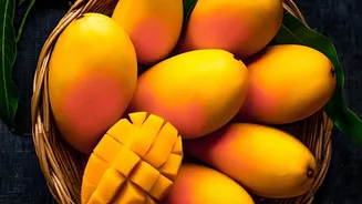 The Export Window Stretches as Late Mango Varieties Move Overseas