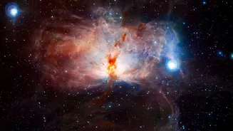 What NASA James Webb Infrared Images Tell Astronomers About Stellar Nursery Evolution