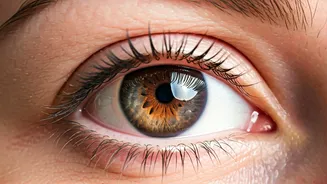 Related Stories banner