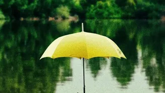 Your Shravan Companion For Staying Comfortable During Monsoon Months
