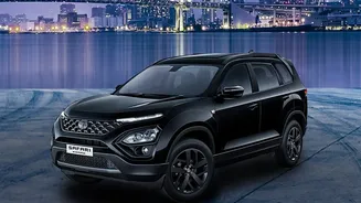 India’s First Urban Night Safari Promises A New Wildlife Adventure In Lucknow