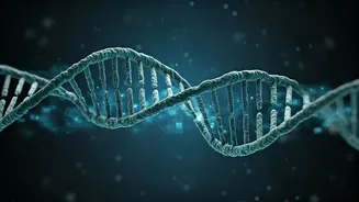 Unlocking Weight Loss Secrets: Your Genes May Dictate Mounjaro & Ozempic Success