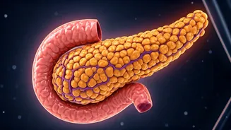 Type 2 Diabetes: How Blood Sugar Damages You