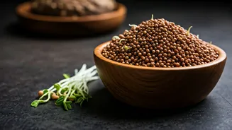 Nutritionists Praise Calcium-Rich Sprouted Ragi Over Processed Snack Bars