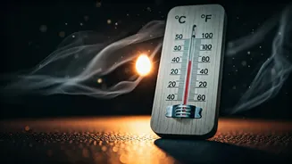 Temperature Is Not The Whole Fitness Story