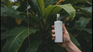 How Cloudy-Day Sunscreen During the Monsoon Can Make UV Exposure Easier to Understand