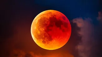 September 26 Harvest Moon: A Beginner's Guide To Moon Watching