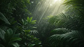 Monsoon Honeymoon Ideas Are Flooding Travel Searches
