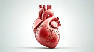 Heart Health: Push-Up Test & Hidden Risks