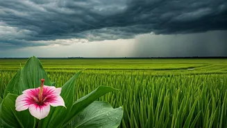 Weather Relief Beats Peak-Season Hype Now