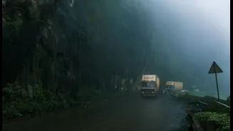 How Winter Fog Impacts Travel in North India