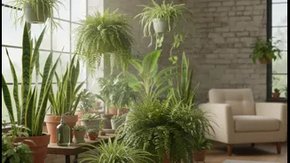 Cooling Plants Are The Green Home Hack