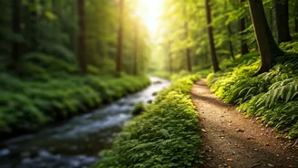 Unwind Your Mind: 8 Simple Relaxation Techniques