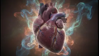 How Humidity-Induced Heart Strain Impacts Indoor Fitness Performance Benchmarks Throughout July