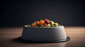 Cleaner Pet Diets Are Becoming An Indian Obsession
