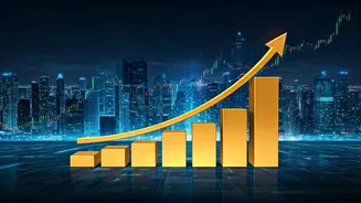 Indian Stock Market Soars: Key Factors Behind the Rally