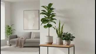 A Few Healthy Plants Work Better Than A Crowded Indoor Jungle
