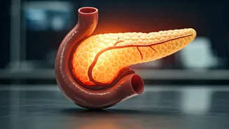 Alarming Rise: Chronic Pancreatitis in Children a Growing Concern for Indian Doctors