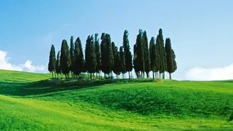 Tuscany Road Trip: Needs Parking And ZTL Planning Around Major Historic Centres, With For A Slower Italian Holiday