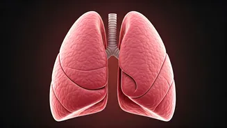 Breathe Easy: Avoid These Foods for Lung Health
