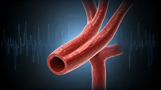 7 Morning Habits Secretly Harming Your Arteries: A Cardiologist's Insight