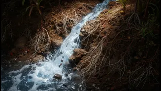 Extreme Rainfall Research Highlights An Overlooked Underground Process