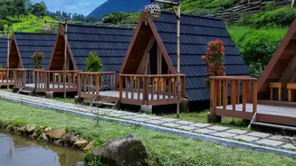 Coorg coffee estates offer serene escapes