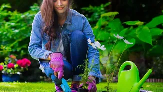 Rainy Season Gardening: Choosing Plants That Need Less Water