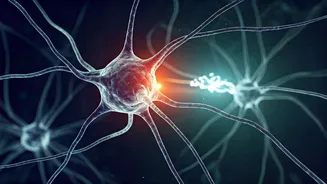 AI Learns More Than Just Skills: Bias Pass-Along Revealed in New Study