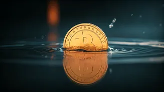 Zakat al-Fitr 2026: Your Essential Guide to Paying Before Eid Prayers