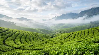 Where India’s Monsoon Is At Its Most Scenic: 7 August Travel Ideas