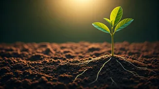 5 Essential Ways to Nurture Unshakeable Confidence in Your Child