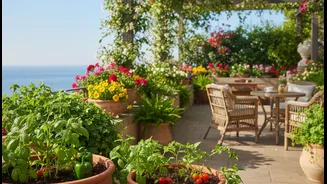Terrace Plants Offer More Than Just Better Views